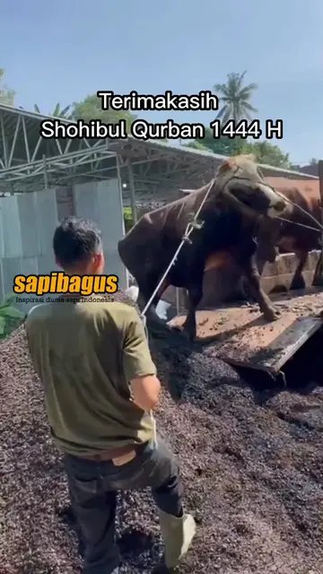 Terimakasih-Shohibul-Qurban-1444-H-